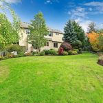 The Charm of Garden Windows: Replacement and Beyond