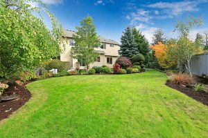 The Charm of Garden Windows: Replacement and Beyond